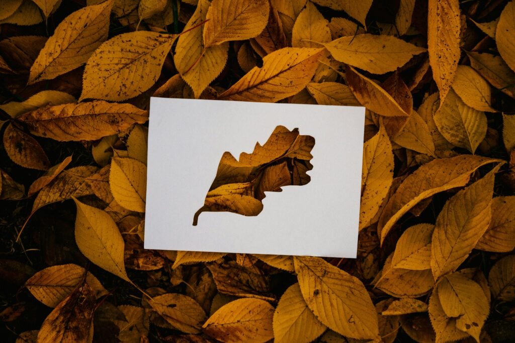 Art Automnal : 10 Idées de Collages de Feuilles Colorées à Réaliser avec les Enfants