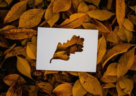 Art Automnal : 10 Idées de Collages de Feuilles Colorées à Réaliser avec les Enfants